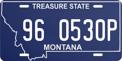 MT license plate 960530P