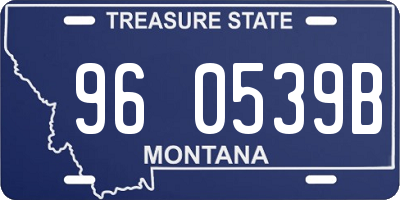 MT license plate 960539B