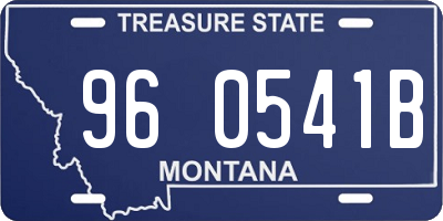MT license plate 960541B