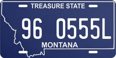 MT license plate 960555L