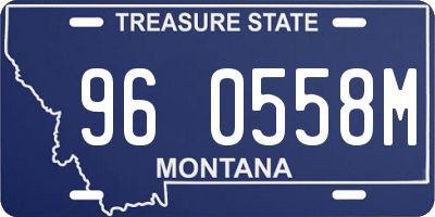 MT license plate 960558M
