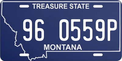 MT license plate 960559P