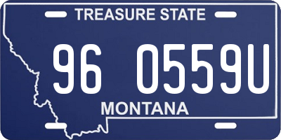 MT license plate 960559U
