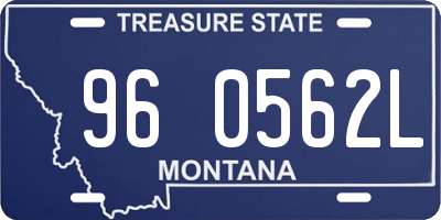 MT license plate 960562L