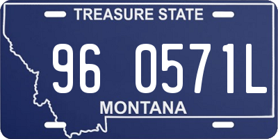 MT license plate 960571L