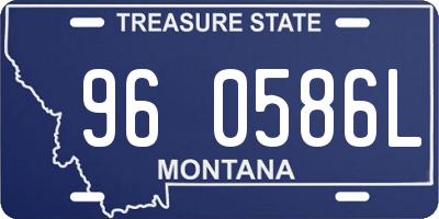 MT license plate 960586L