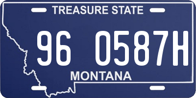 MT license plate 960587H