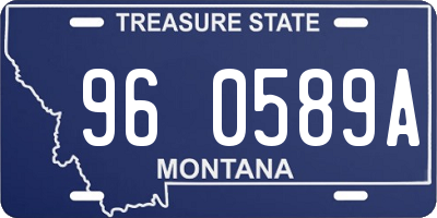 MT license plate 960589A