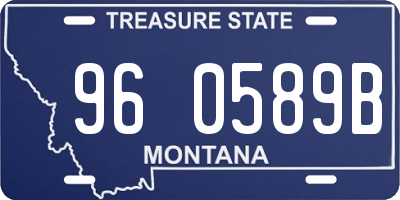 MT license plate 960589B
