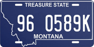 MT license plate 960589K