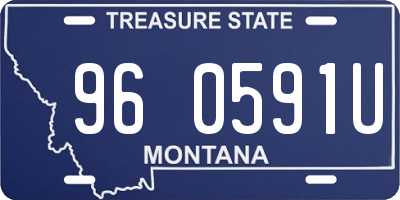 MT license plate 960591U