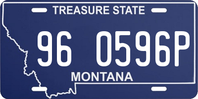 MT license plate 960596P