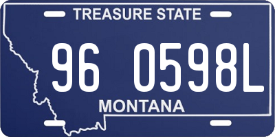 MT license plate 960598L