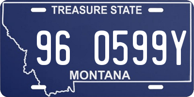 MT license plate 960599Y