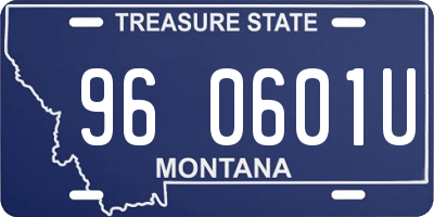 MT license plate 960601U