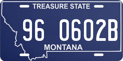 MT license plate 960602B
