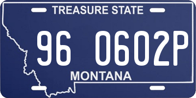 MT license plate 960602P