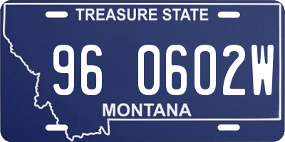 MT license plate 960602W