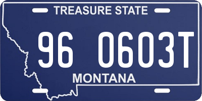 MT license plate 960603T
