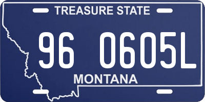 MT license plate 960605L