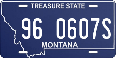 MT license plate 960607S