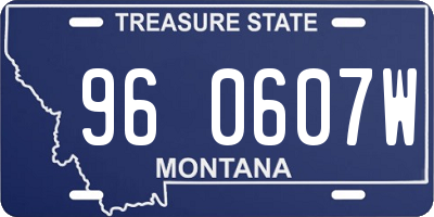 MT license plate 960607W
