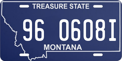 MT license plate 960608I