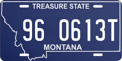 MT license plate 960613T