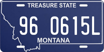MT license plate 960615L