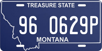 MT license plate 960629P
