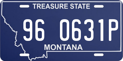 MT license plate 960631P