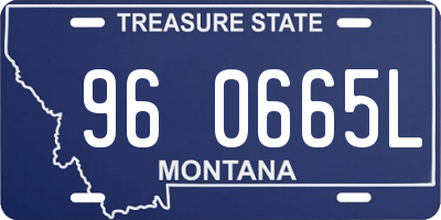 MT license plate 960665L
