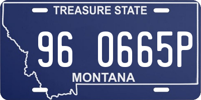 MT license plate 960665P