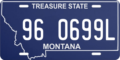 MT license plate 960699L