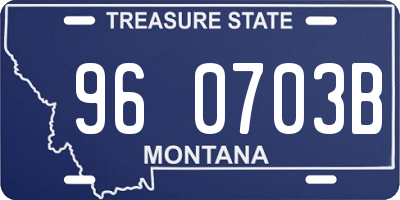 MT license plate 960703B