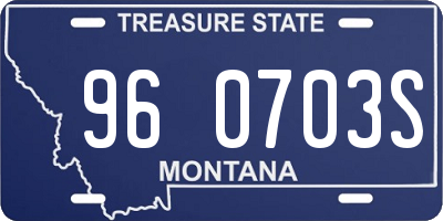 MT license plate 960703S