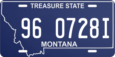 MT license plate 960728I
