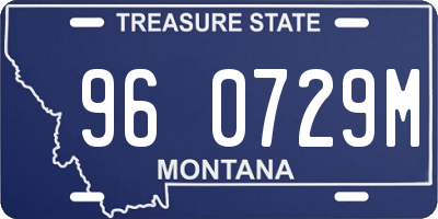 MT license plate 960729M