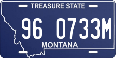 MT license plate 960733M