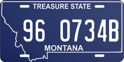 MT license plate 960734B