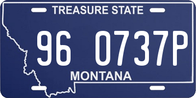 MT license plate 960737P