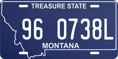 MT license plate 960738L