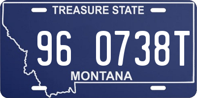 MT license plate 960738T