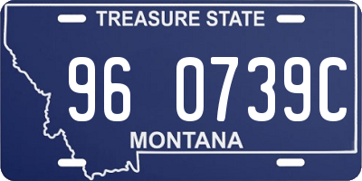 MT license plate 960739C