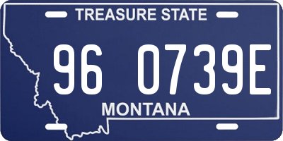 MT license plate 960739E