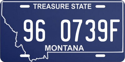 MT license plate 960739F