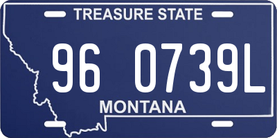 MT license plate 960739L