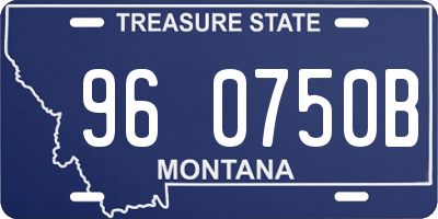MT license plate 960750B
