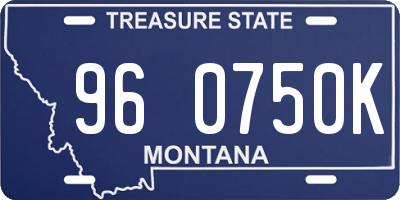MT license plate 960750K
