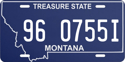 MT license plate 960755I